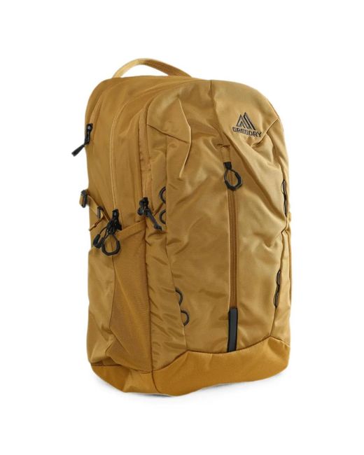 Gregory Metallic Terros 25 Backpack