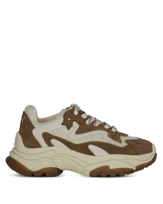 Ash プラットフォーム スニーカー Brown