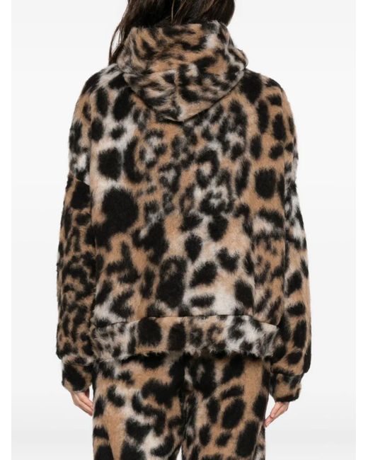 Gcds Black Hooded Animal-Print Sweater