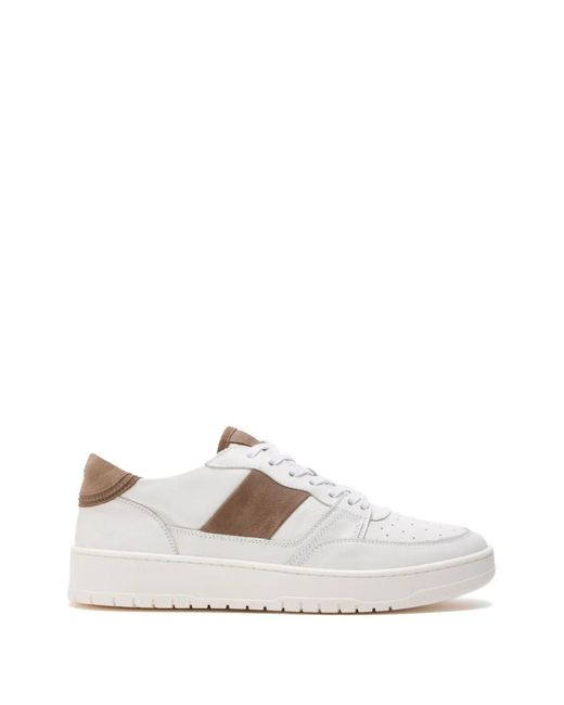 Collegium White Striped Panel Sneakers