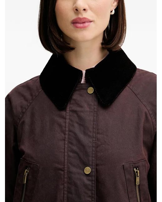INTROPIA Brown Damaris Button Corduroy-Collar Trench