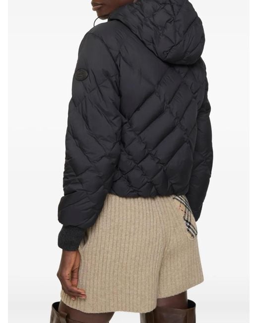 Burberry Black Check-Stitch Nylon Delley Puffer Jacket