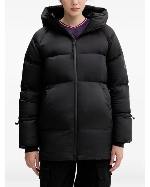 Adidas Black Hooded Jacket