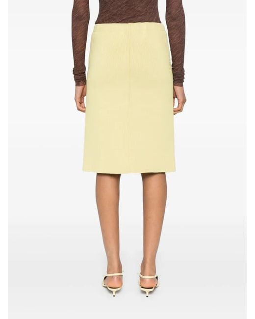 Philosophy Di Lorenzo Serafini Natural Ribbed-Knit Skirt