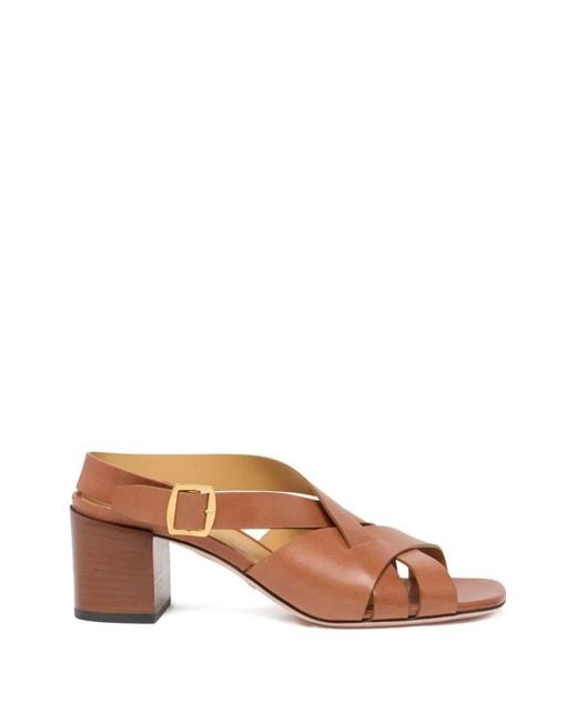 Bally Brown Essence Buckled Sandals64