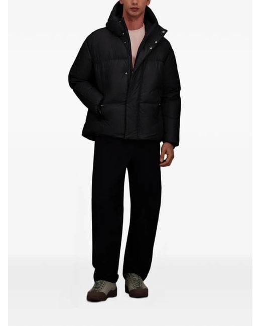 Laminar Black Hooded Padded Jacket for men