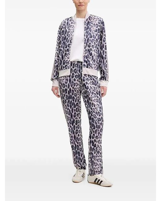 Adidas Blue Leopard-Print Tracksuit