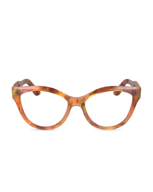 Calvin Klein Brown Cat-Eye Acetate Frames