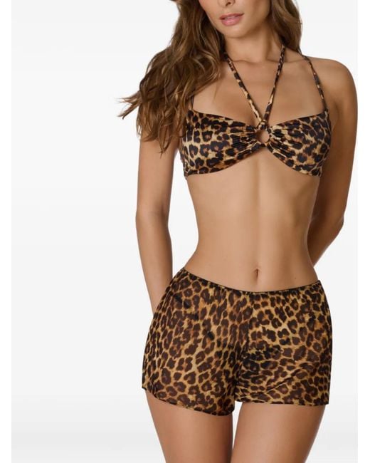 Maison Close White Safari Leopard-Print Shorts