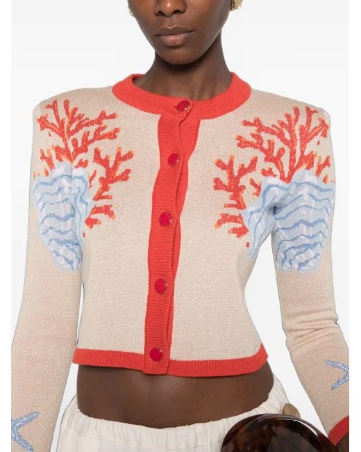 retroféte Red Aralyn Coral-Intarsia Cropped Cardigan