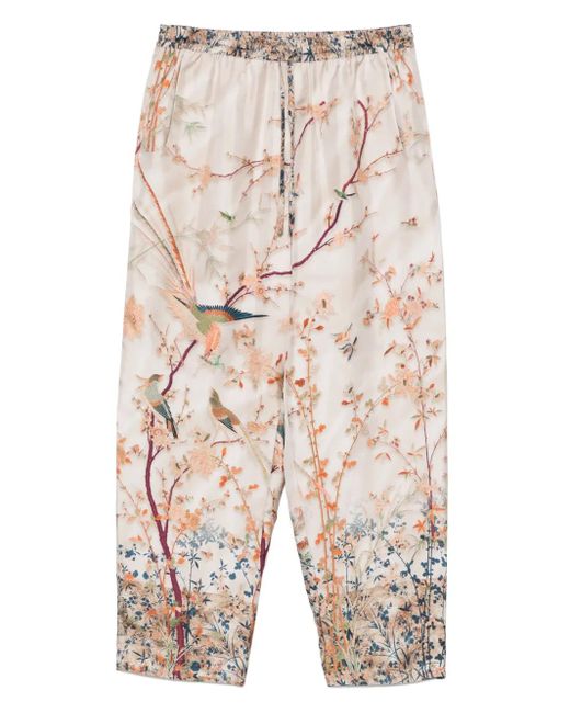 Pierre Louis Mascia Blue Aloe Hose