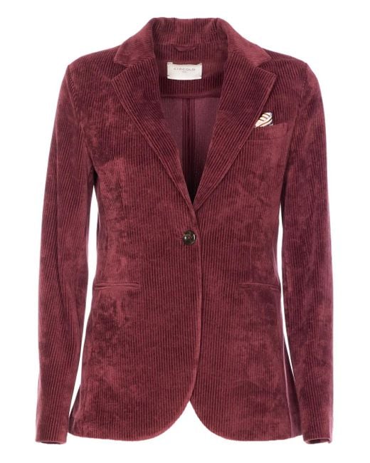 Circolo 1901 Red Sakko aus Cord