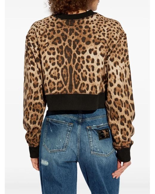 Dolce & Gabbana Black Leopard-Print Jumper