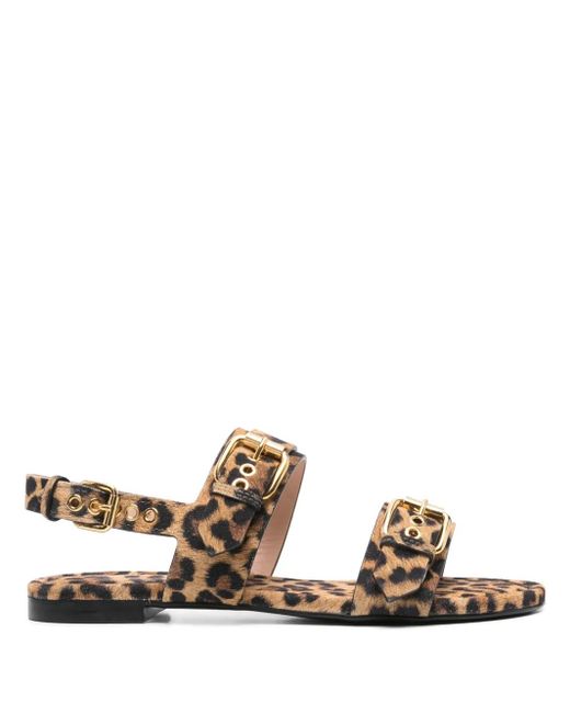 Sandali Summer Multi Buckles di Agl Attilio Giusti Leombruni in Multicolor
