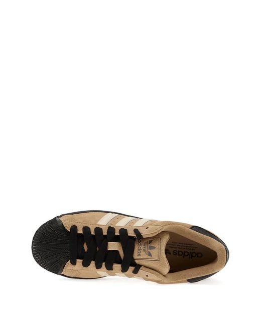 Adidas Brown Superstar Ii Suede Sneakers