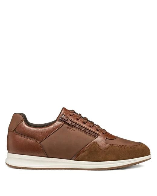 Geox Brown Avery Sneakers for men