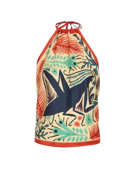 Etro Gray Insect-Print Halterneck Top