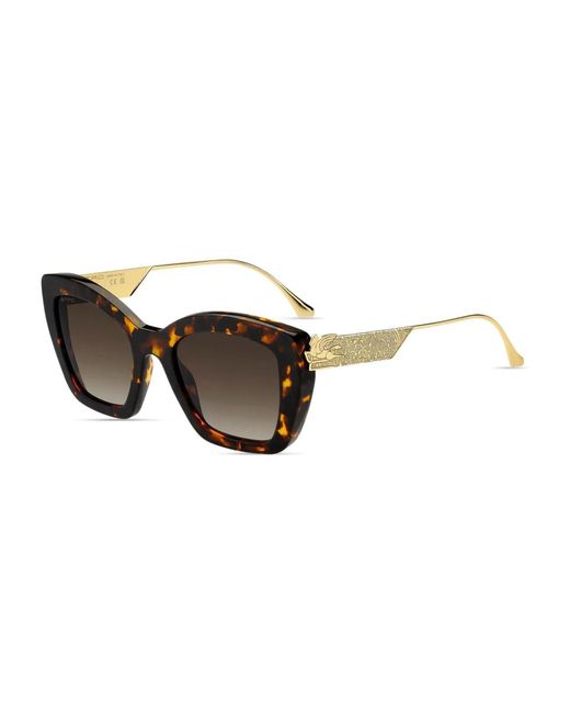 Etro Brown Curved Acetate Pegaso Sunglasses