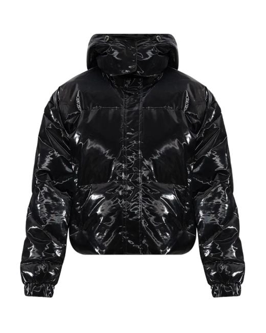 EA7 Black Hooded Padded Jacket