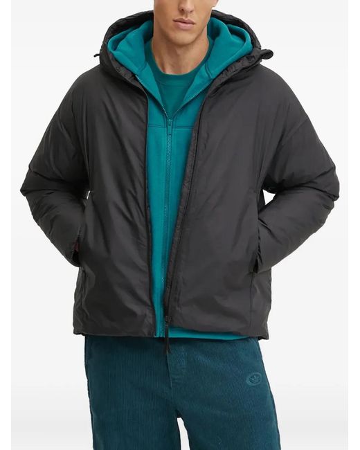 Adidas Blue Three-Stripe Detail Padded Jacket for men