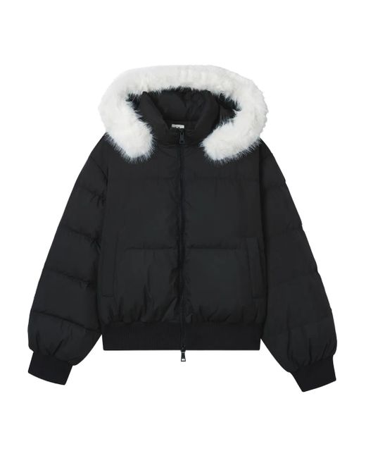 B+ AB Donsjack Met Capuchon in het Black