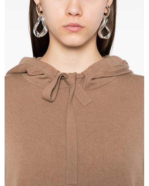 Max Mara Brown 'Maxmara Sweatshirt