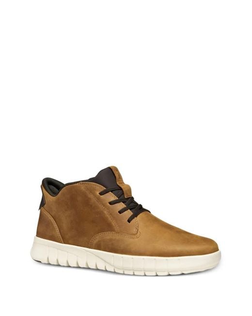 Geox Brown Sneakers for men