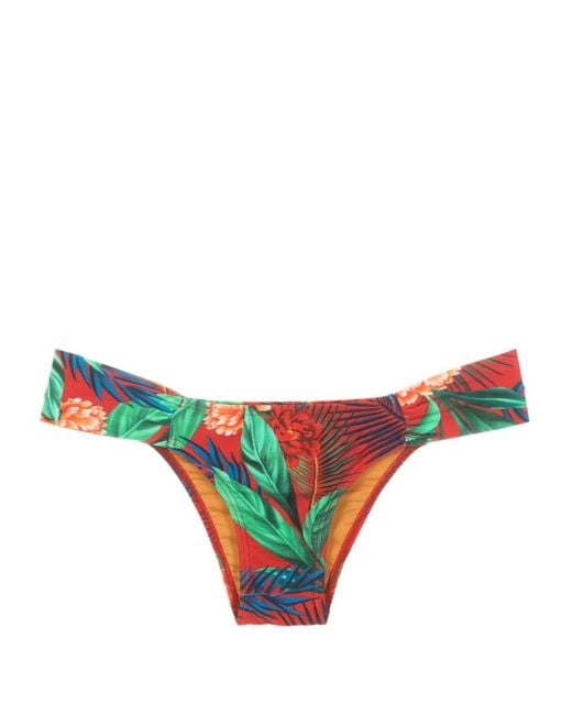 Lygia & Nanny Natural Ritz Botanical-Print Bikini Bottoms