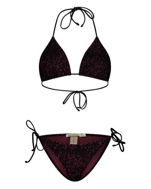 Paramidonna Black Kelly Bikini