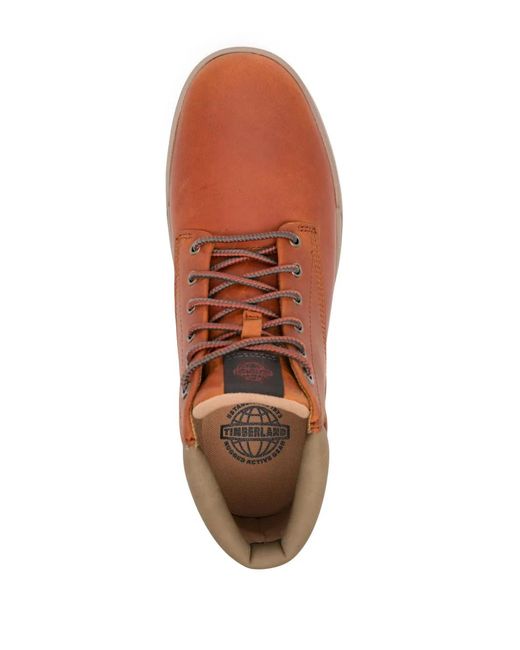 Timberland Brown Maple Grove Sneakers for men