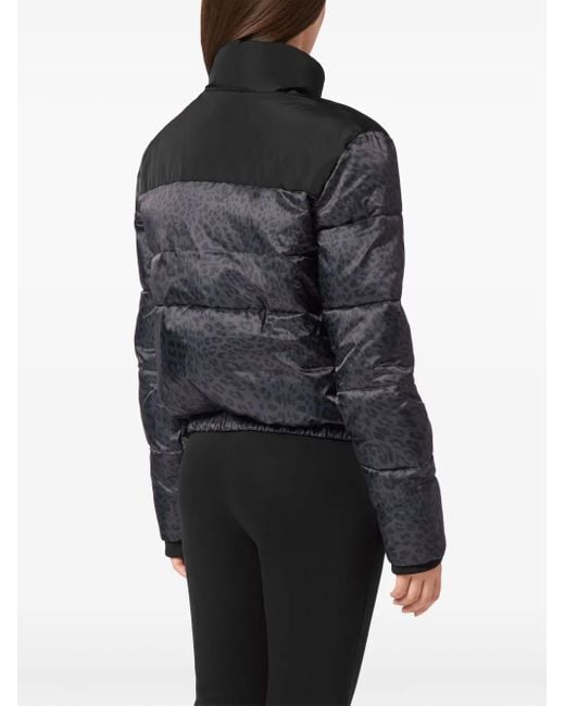 Philipp Plein Black Leopard-Print Puffer Jacket