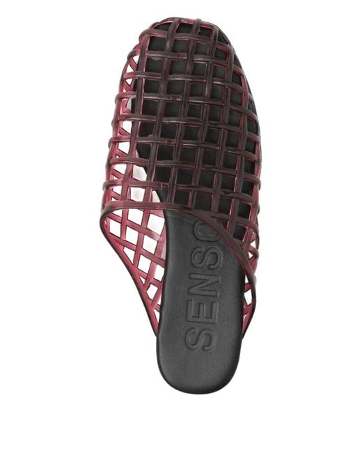 Senso Purple Jacey Flatted Mules