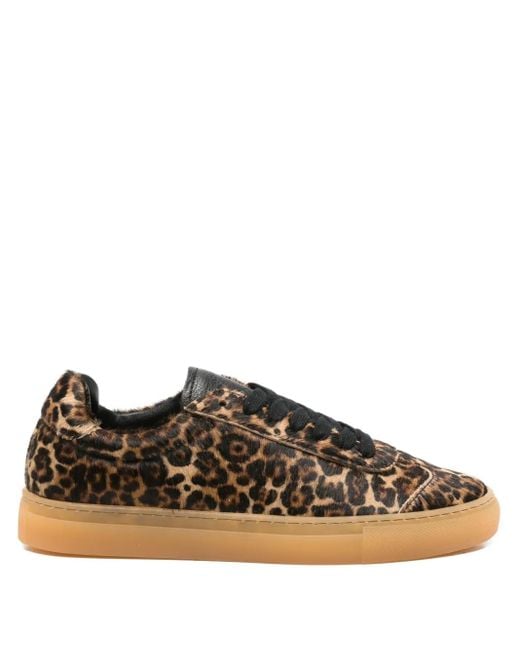 COPENHAGEN Brown Leopard-Print Sneakers