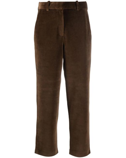 Circolo 1901 Brown Velour Chino Trousers