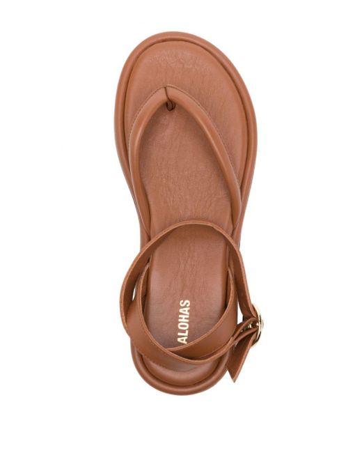 Alohas Brown Seneca Leather Sandals