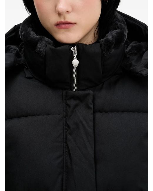 Hollister Black Hooded Puffer Jacket
