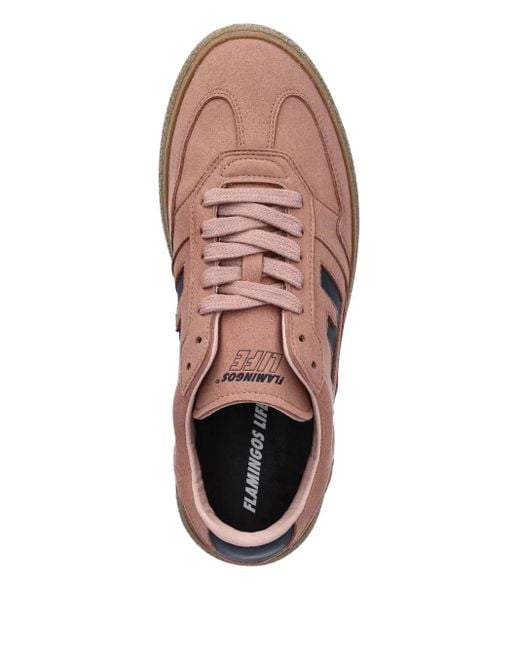 Flamingos Brown Suede Logo Sneakers