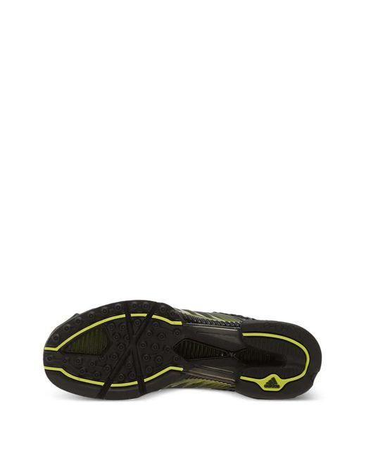 Adidas Green Climacool 1 Sneakers for men