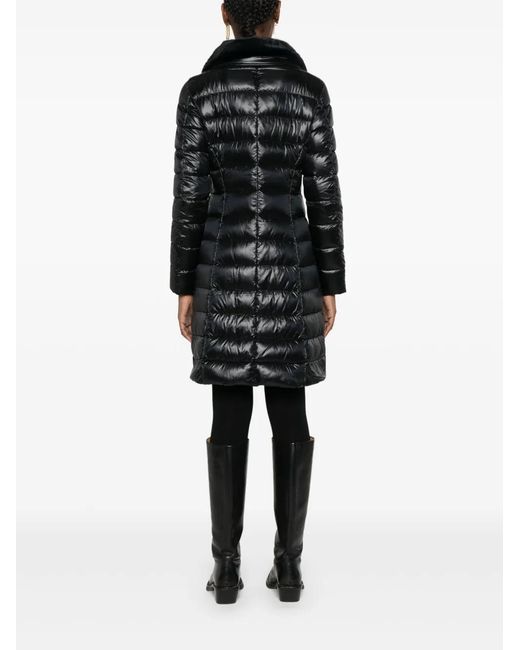 Herno Black Coats & Jackets