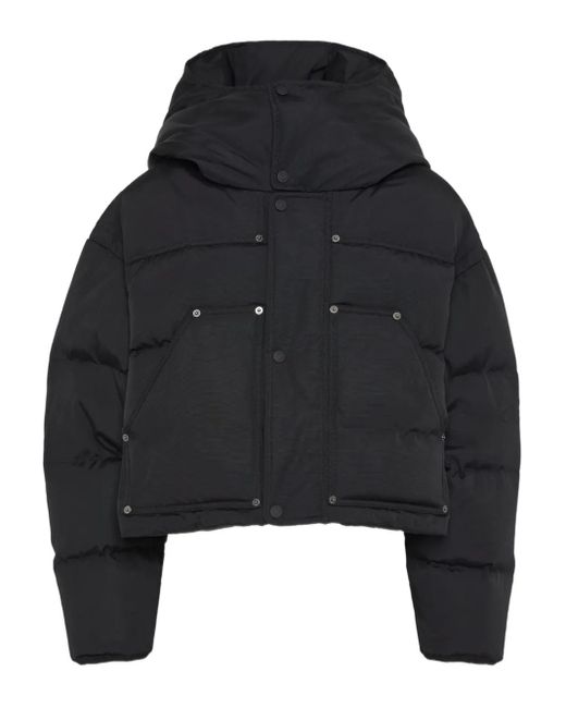 DSquared² Black Hooded Puffer Jacket