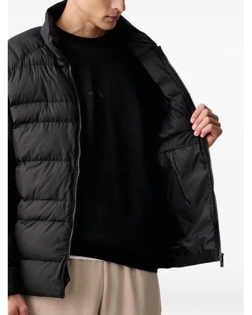 Adidas Black Essentials Packable Insulated Jacket for men
