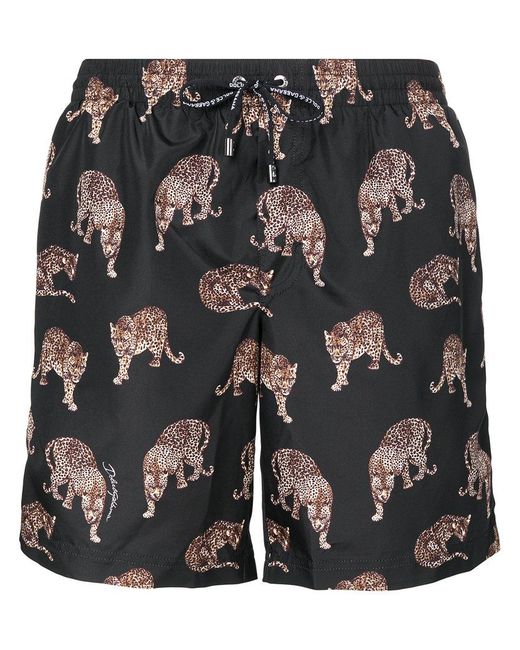 Lyst Dolce & Gabbana Tiger Print Swim Shorts in Black for Men