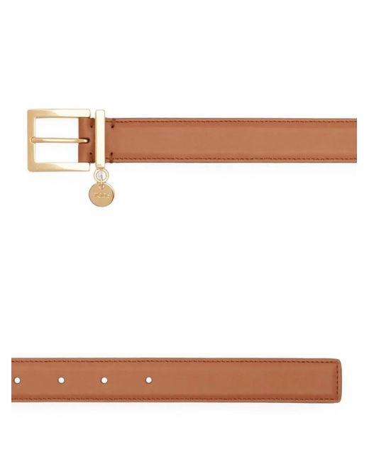 Tod's Brown Belt