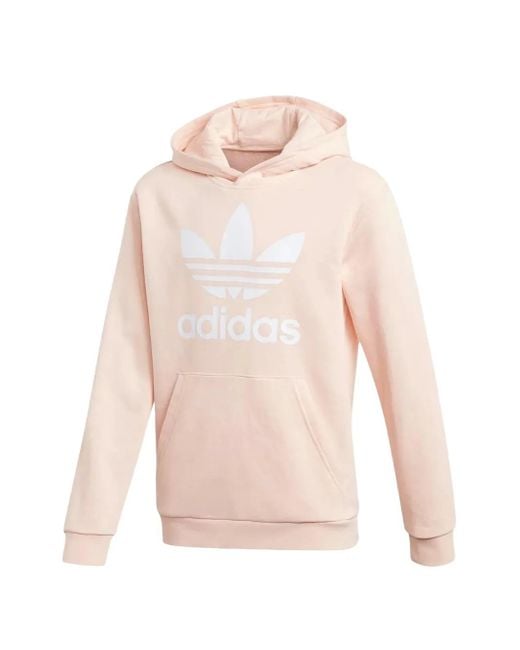 Felpa Trefoil Con Cappuccio di Adidas in Pink da Uomo