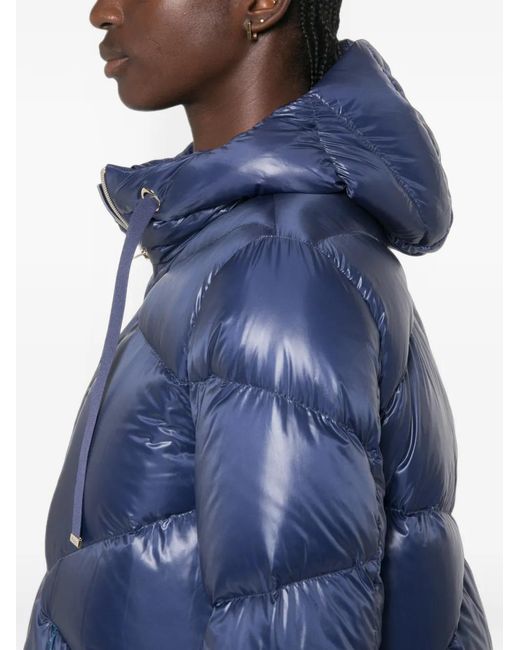 Herno Blue Quilted Hooded Jacket