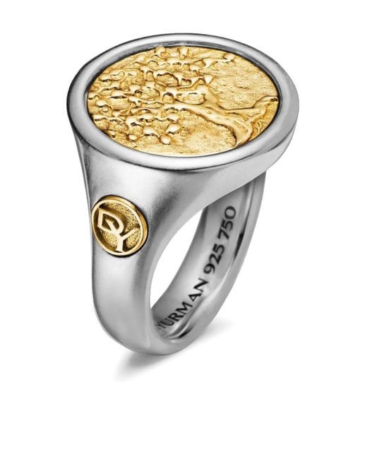 David Yurman Metallic 18Kt And Sterling Life And Death Duality Signet Ring (20Mm) for men