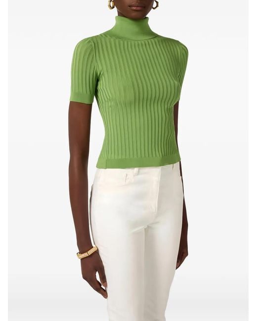 Elisabetta Franchi Green Sheer Knit Top