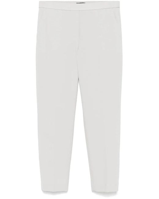 Theory Treeca Broek in het White