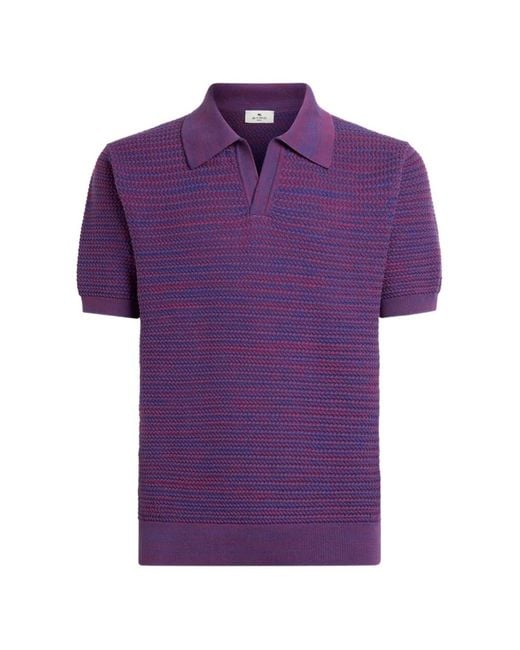 Etro Purple V-Neck Short-Sleeved Knitted Sweater for men