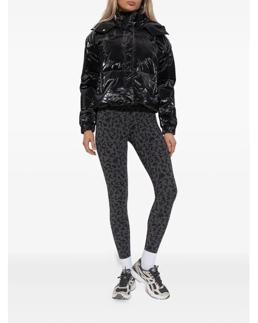 EA7 Black Hooded Padded Jacket